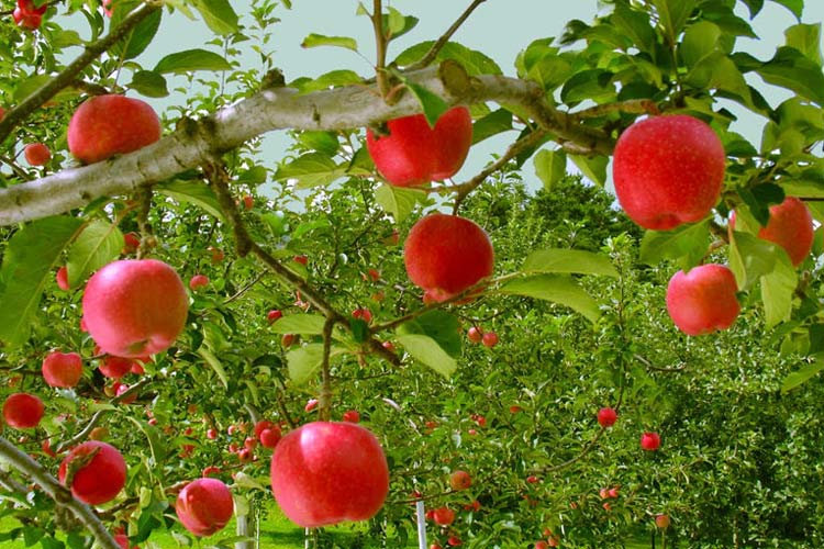 راهنمای سفر به کرج (قسمت دوم)اقامت در سفر به ایران کوچک